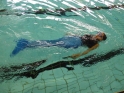 Meerjungfrauenschwimmen-150.jpg